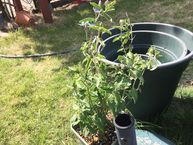 f:id:sk6960:20180514073151j:plain