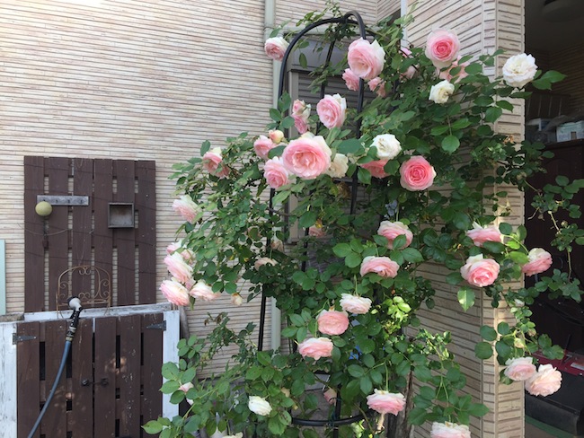 f:id:sk6960:20180520134238j:plain