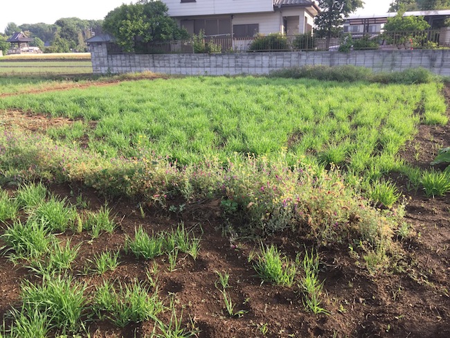 f:id:sk6960:20180520134240j:plain