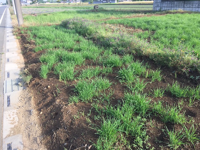 f:id:sk6960:20180520134241j:plain