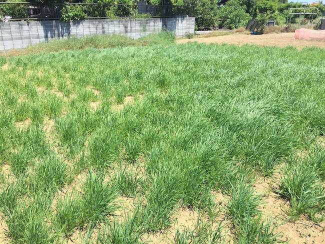 f:id:sk6960:20180520134258j:plain