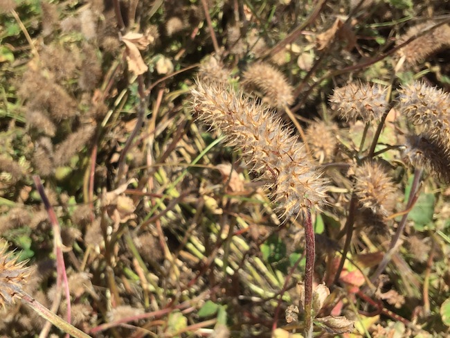 f:id:sk6960:20180520134307j:plain