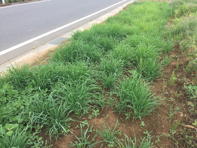 f:id:sk6960:20180527131131j:plain