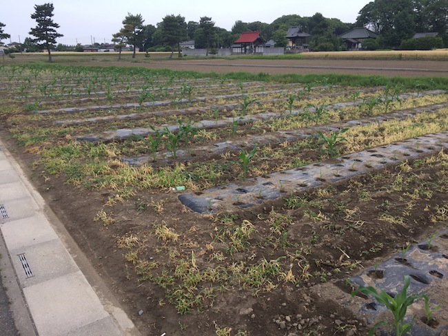 f:id:sk6960:20180527131137j:plain