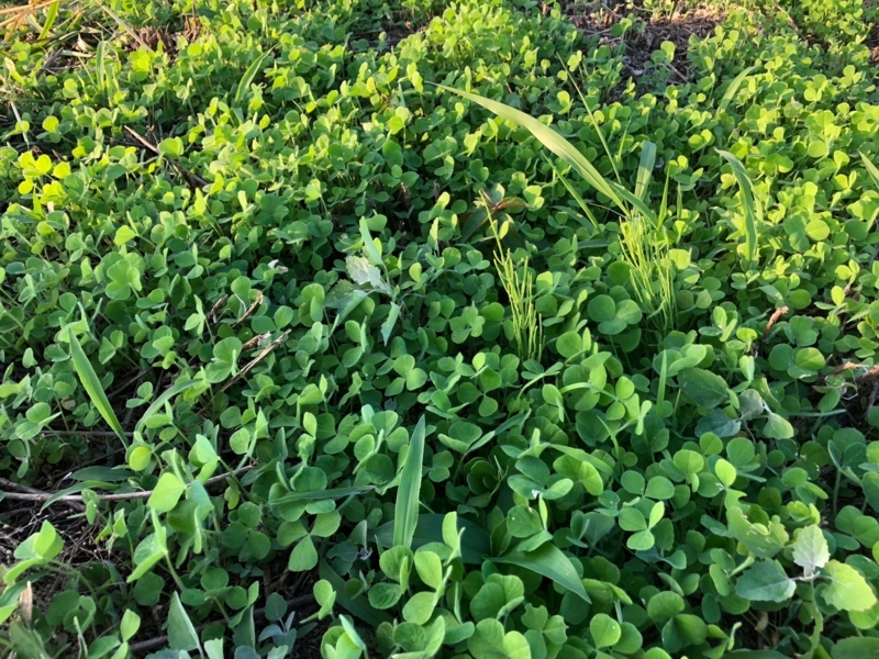 f:id:sk6960:20180702122718j:plain