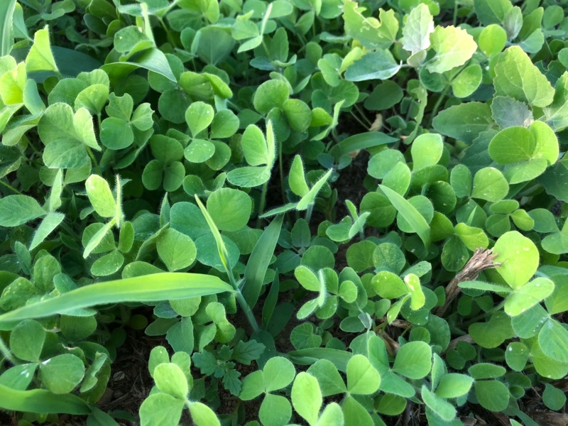 f:id:sk6960:20180702122719j:plain