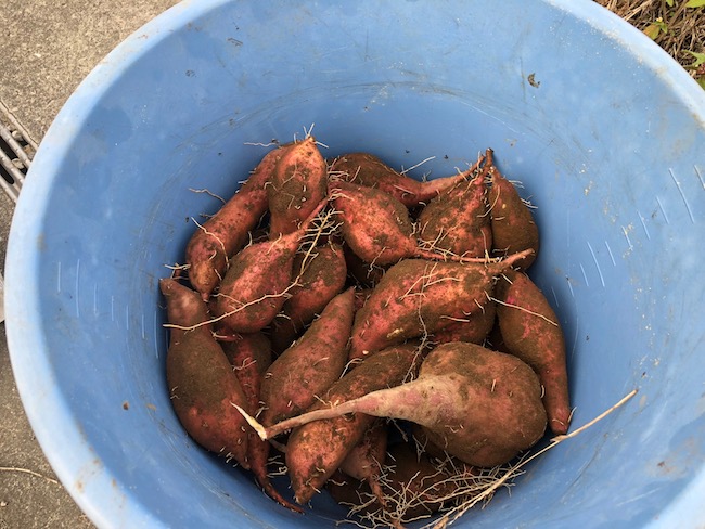 f:id:sk6960:20181118150732j:plain