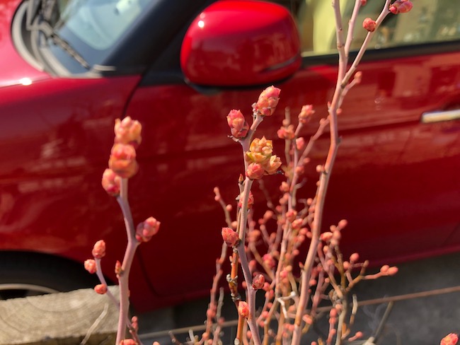 f:id:sk6960:20190309124257j:plain