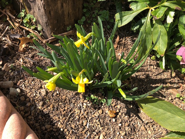 f:id:sk6960:20190309124343j:plain