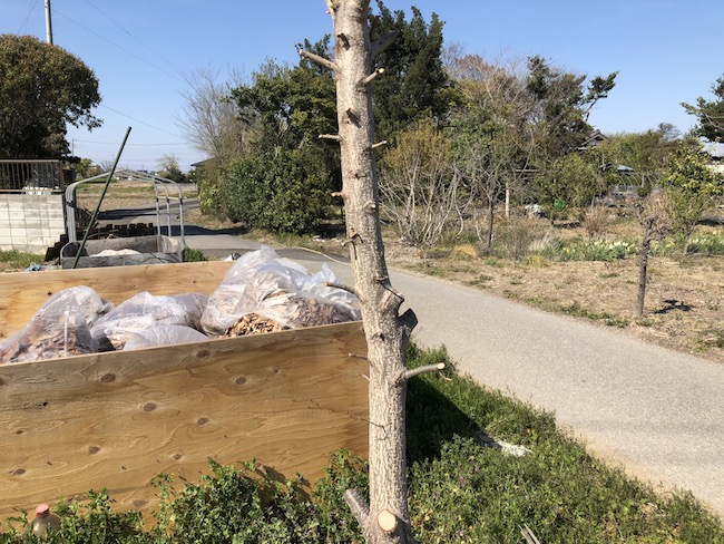 f:id:sk6960:20190413155133j:plain