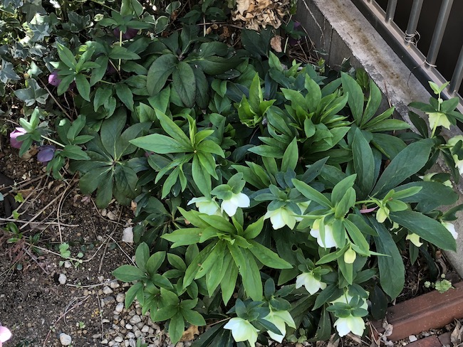 f:id:sk6960:20190413155242j:plain f:id:sk6960:20190413155242j:plain