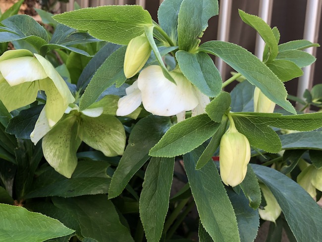 f:id:sk6960:20190413155245j:plain f:id:sk6960:20190413155245j:plain