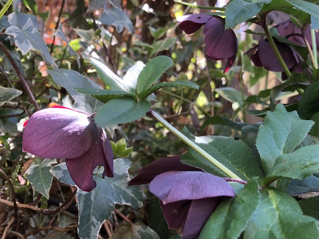 f:id:sk6960:20190413155248j:plain f:id:sk6960:20190413155248j:plain