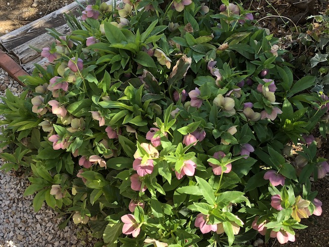 f:id:sk6960:20190413155251j:plain f:id:sk6960:20190413155251j:plain
