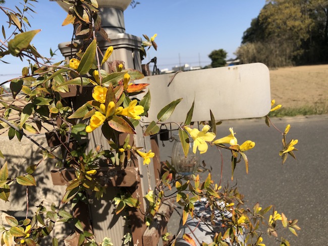 f:id:sk6960:20190413155522j:plain