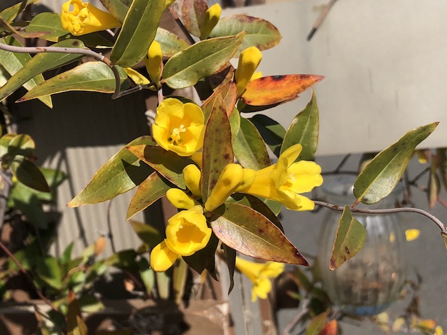 f:id:sk6960:20190413155525j:plain