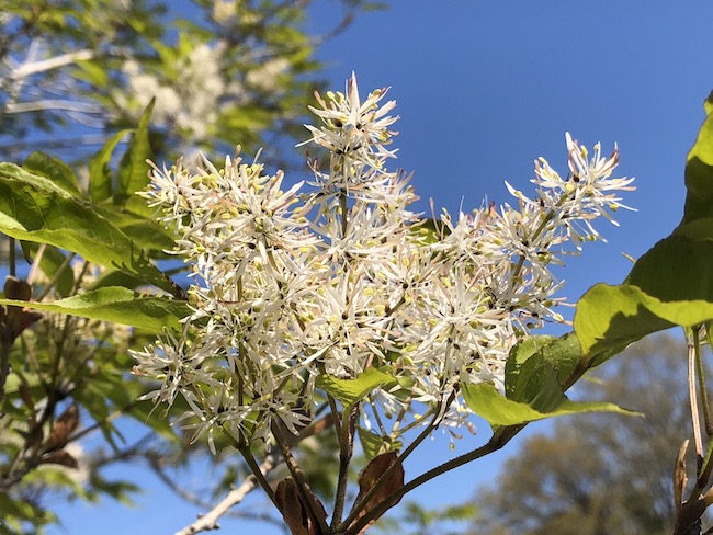 f:id:sk6960:20190413155527j:plain