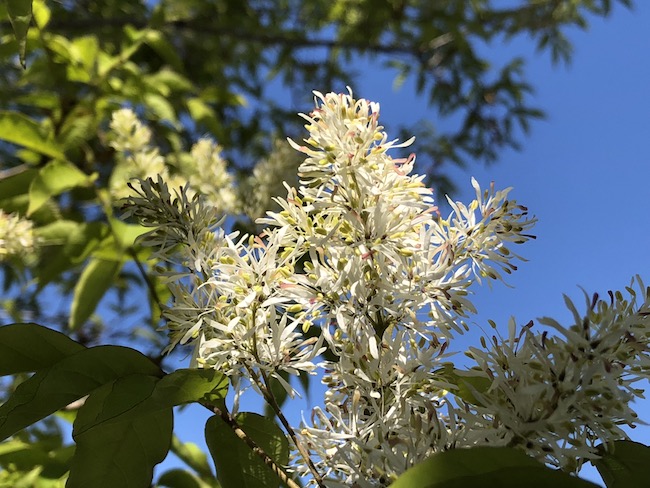 f:id:sk6960:20190413155530j:plain