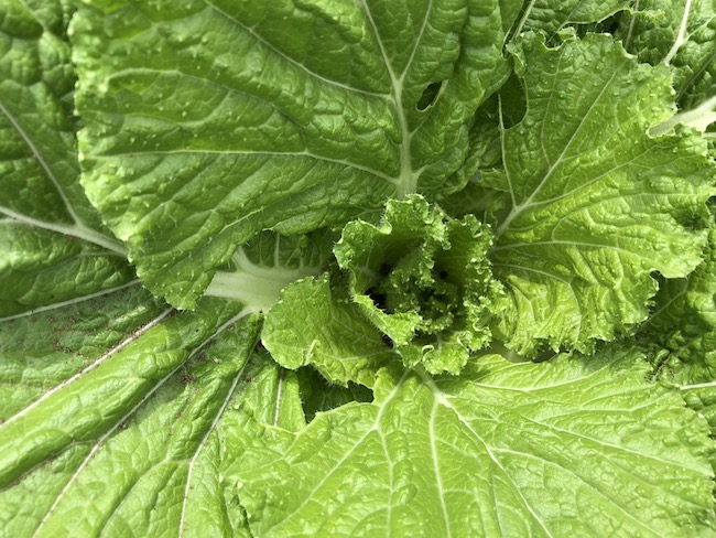 f:id:sk6960:20191006141400j:plain