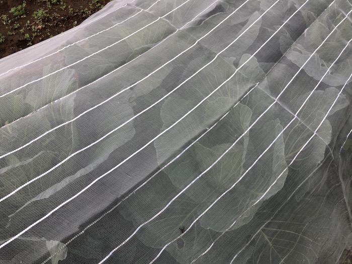 f:id:sk6960:20191027080143j:plain