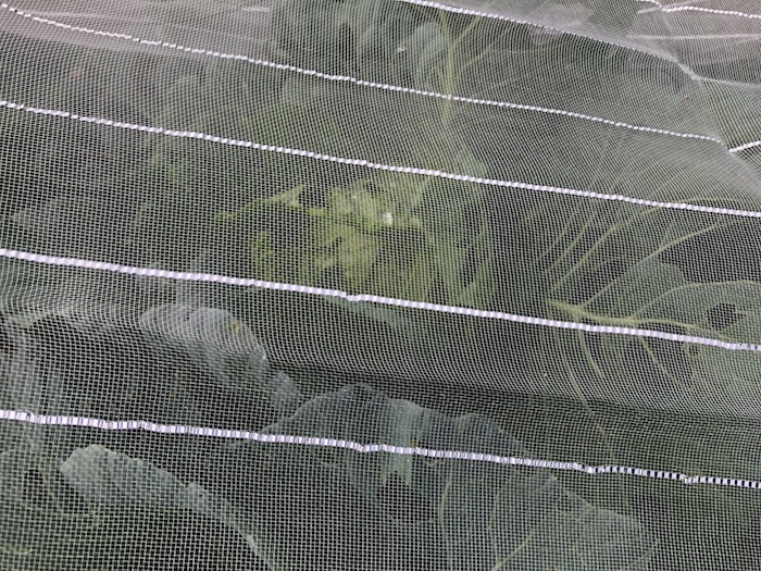 f:id:sk6960:20191027080151j:plain