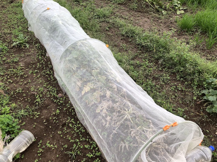 f:id:sk6960:20191027080300j:plain