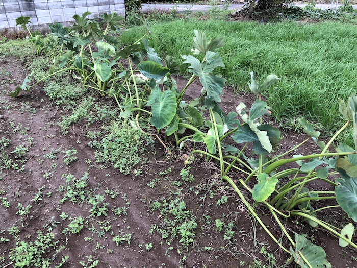 f:id:sk6960:20191027080353j:plain