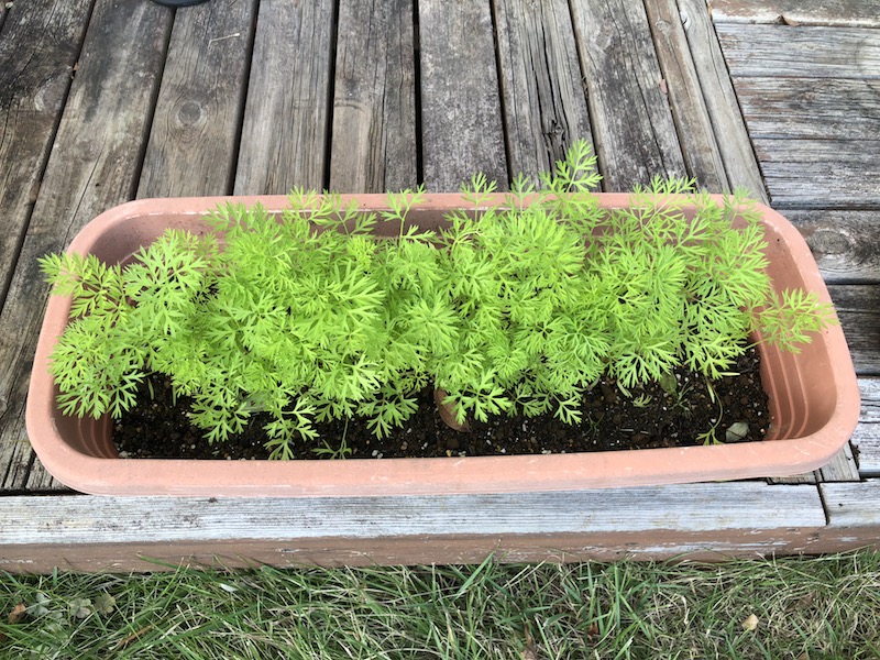 f:id:sk6960:20191027161938j:plain