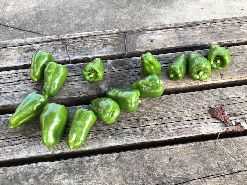 f:id:sk6960:20191027161952j:plain