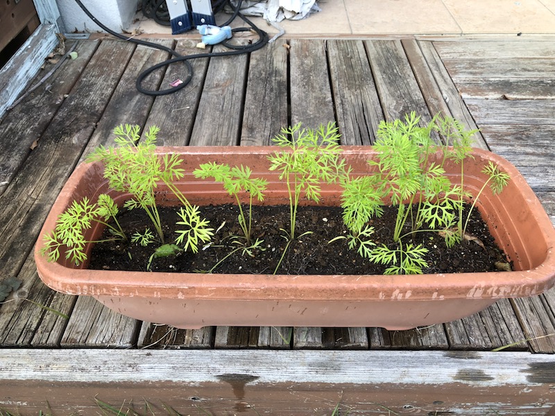 f:id:sk6960:20191027162004j:plain