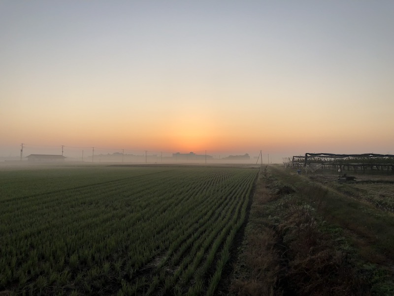 f:id:sk6960:20191101131043j:plain