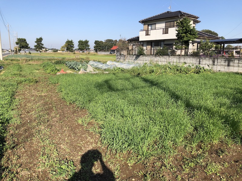 f:id:sk6960:20191101131050j:plain