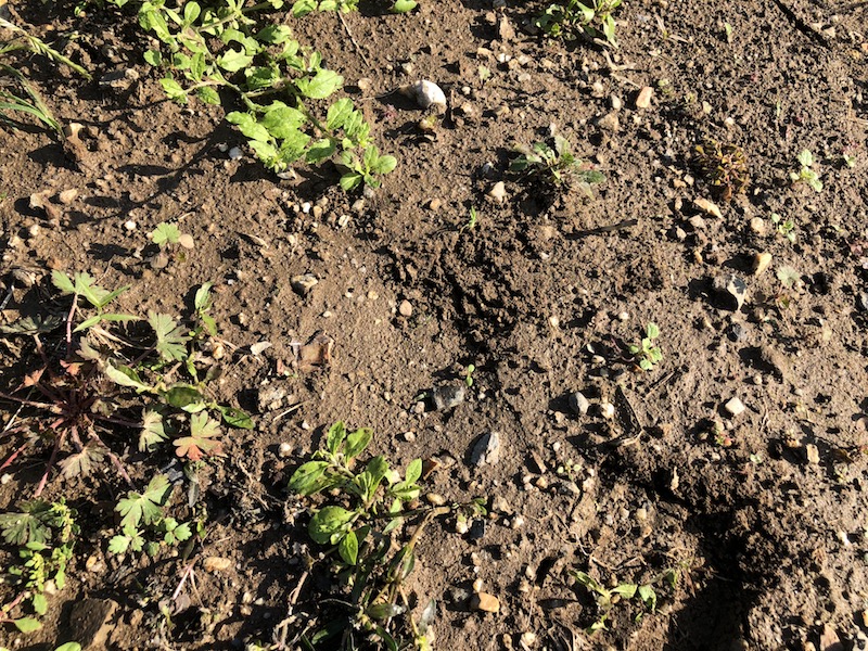 f:id:sk6960:20191101131058j:plain