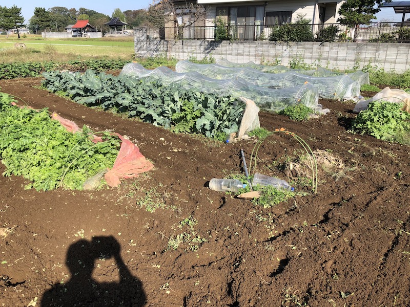 f:id:sk6960:20191101131108j:plain