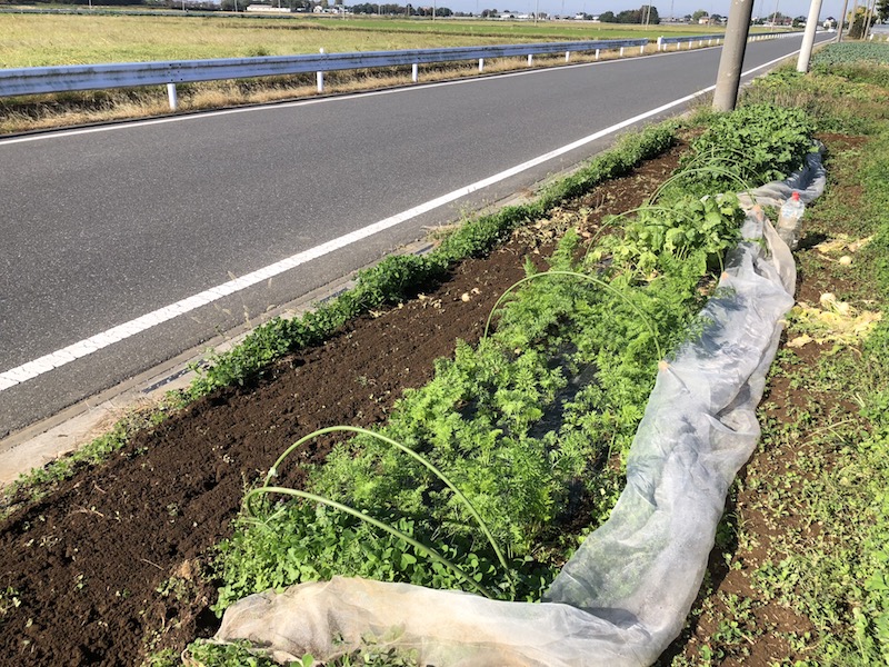 f:id:sk6960:20191101131113j:plain