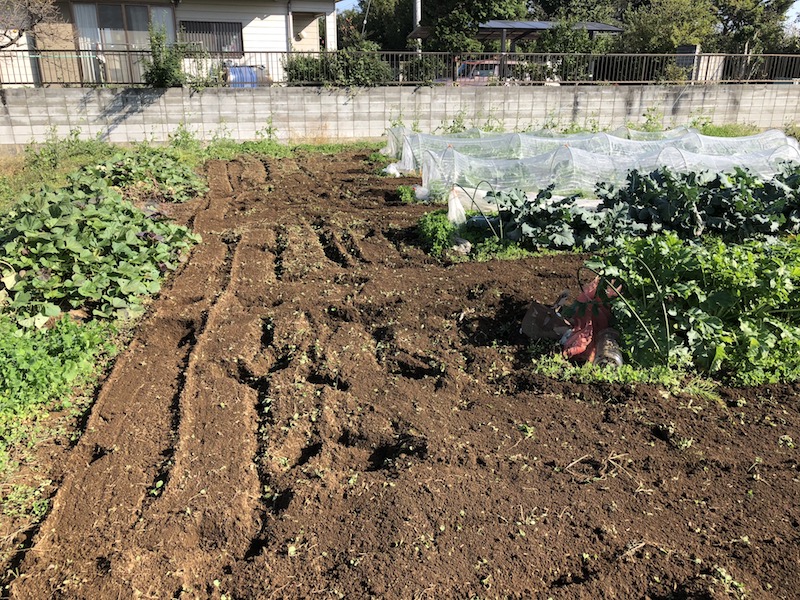 f:id:sk6960:20191101131117j:plain