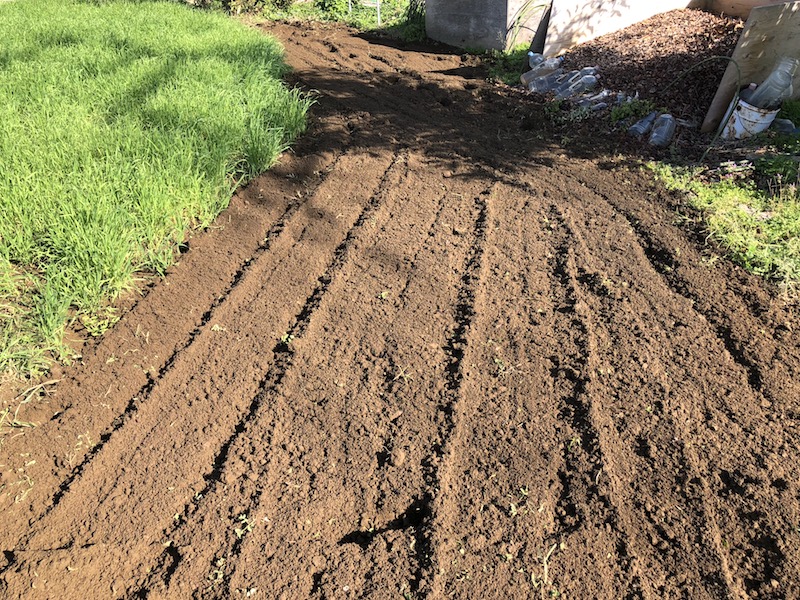 f:id:sk6960:20191101131130j:plain