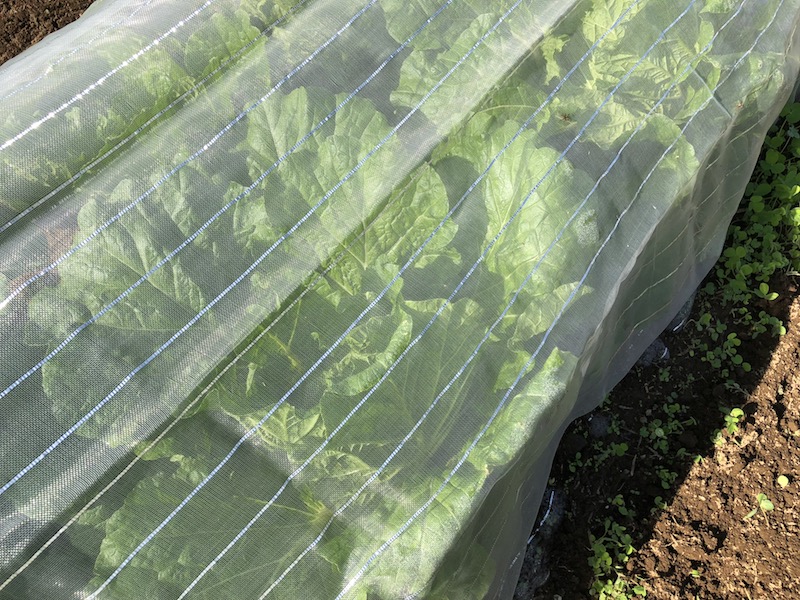 f:id:sk6960:20191101131320j:plain