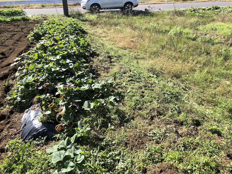 f:id:sk6960:20191101131411j:plain