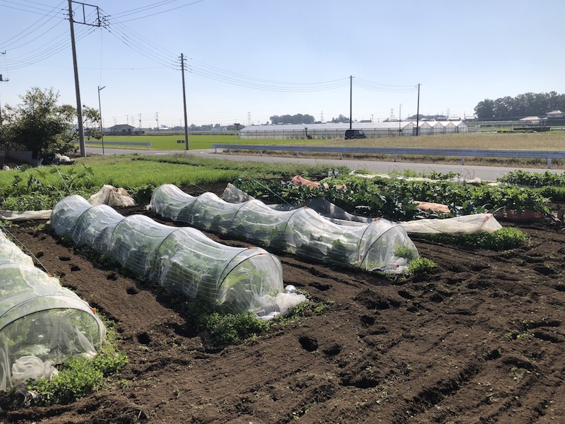 f:id:sk6960:20191101131415j:plain