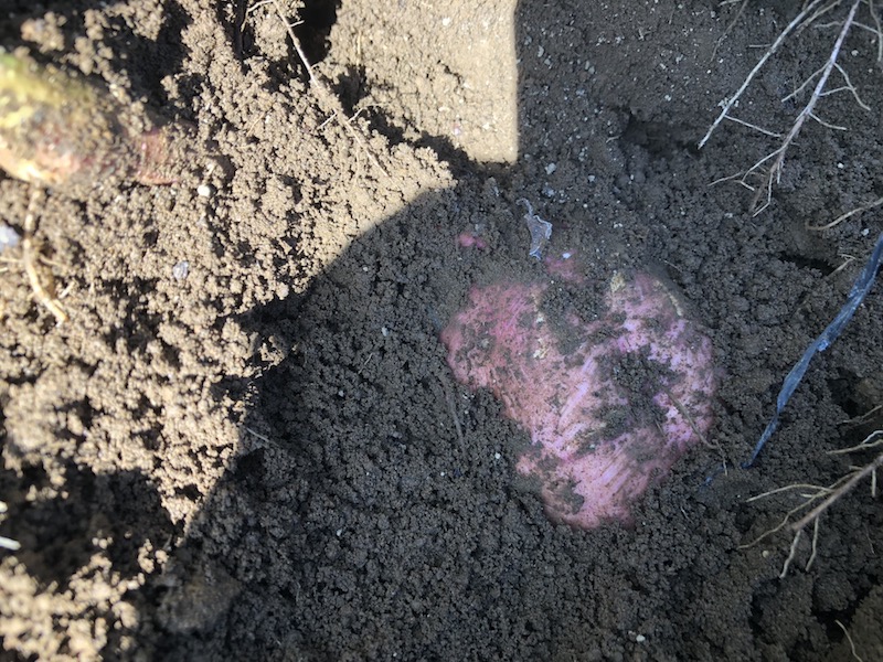 f:id:sk6960:20191101131424j:plain