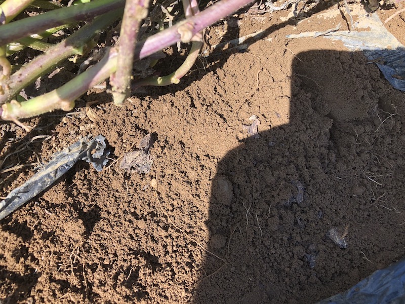 f:id:sk6960:20191101131428j:plain