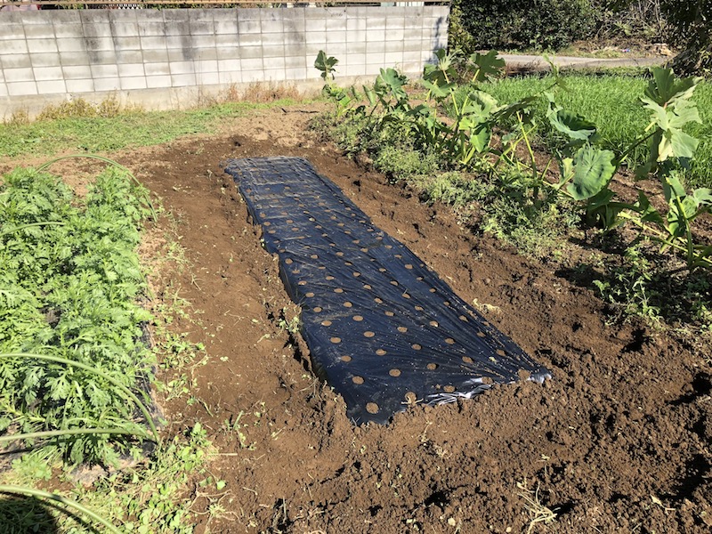 f:id:sk6960:20191101131432j:plain