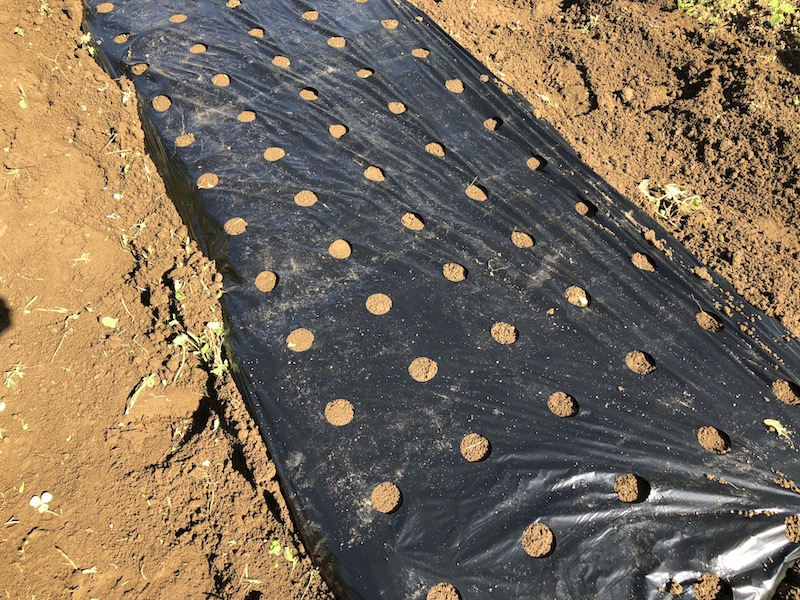 f:id:sk6960:20191101131437j:plain