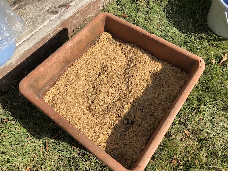 f:id:sk6960:20191102144845j:plain