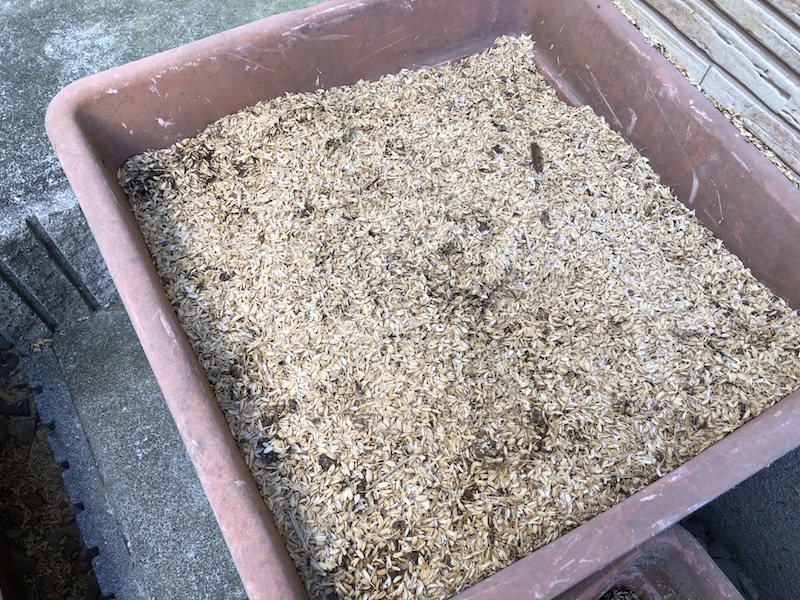 f:id:sk6960:20191130114829j:plain