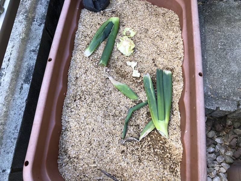 f:id:sk6960:20191130114833j:plain