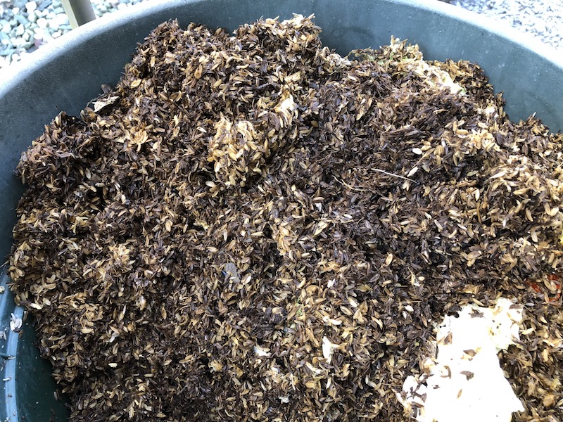 f:id:sk6960:20191130114838j:plain