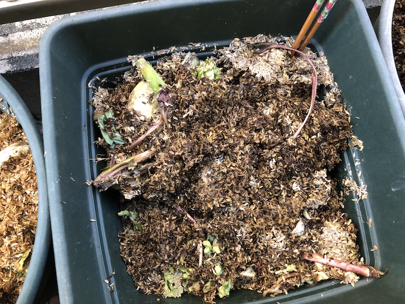 f:id:sk6960:20191130114846j:plain