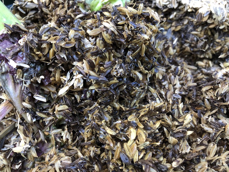 f:id:sk6960:20191130114850j:plain